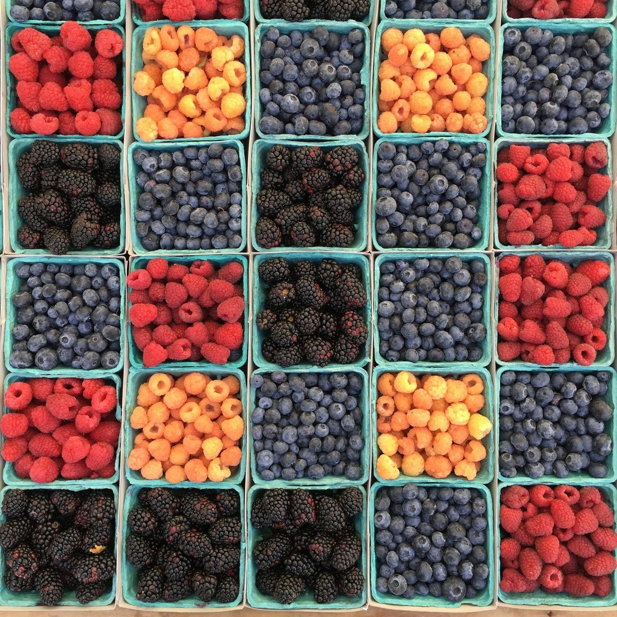 Berries help with the immune system